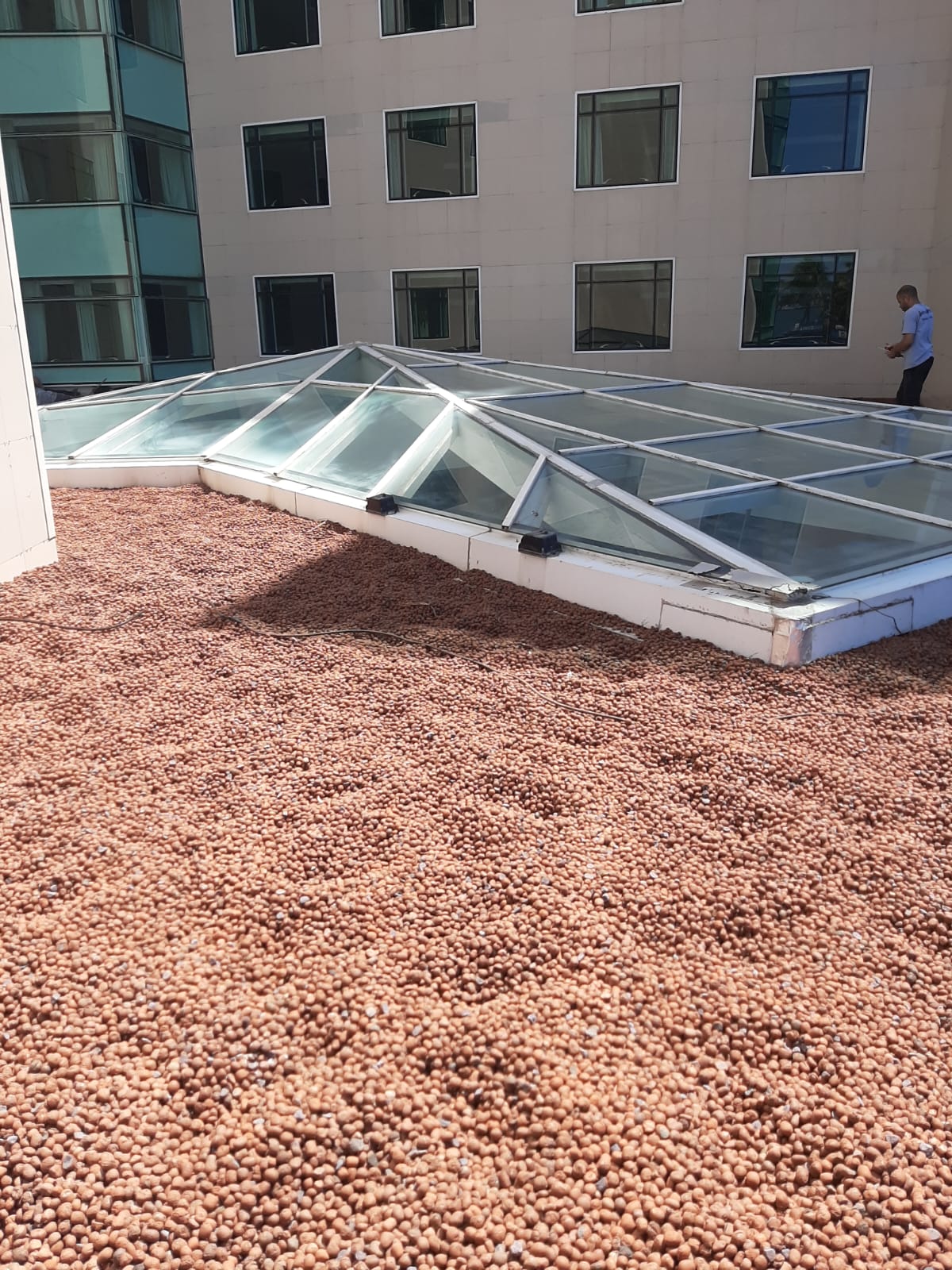 2e3f36de-8d76-45a0-96d1-2504051fef8f.jfif